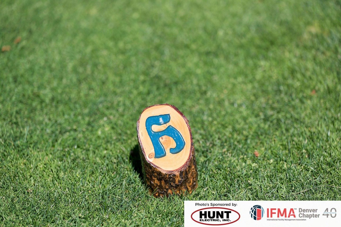 Log marker with blue 