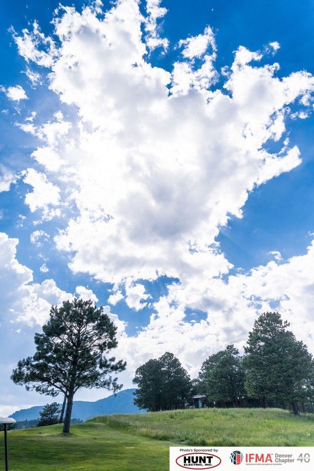 Lush green field with trees, against a blue sky filled with puffy white clouds.