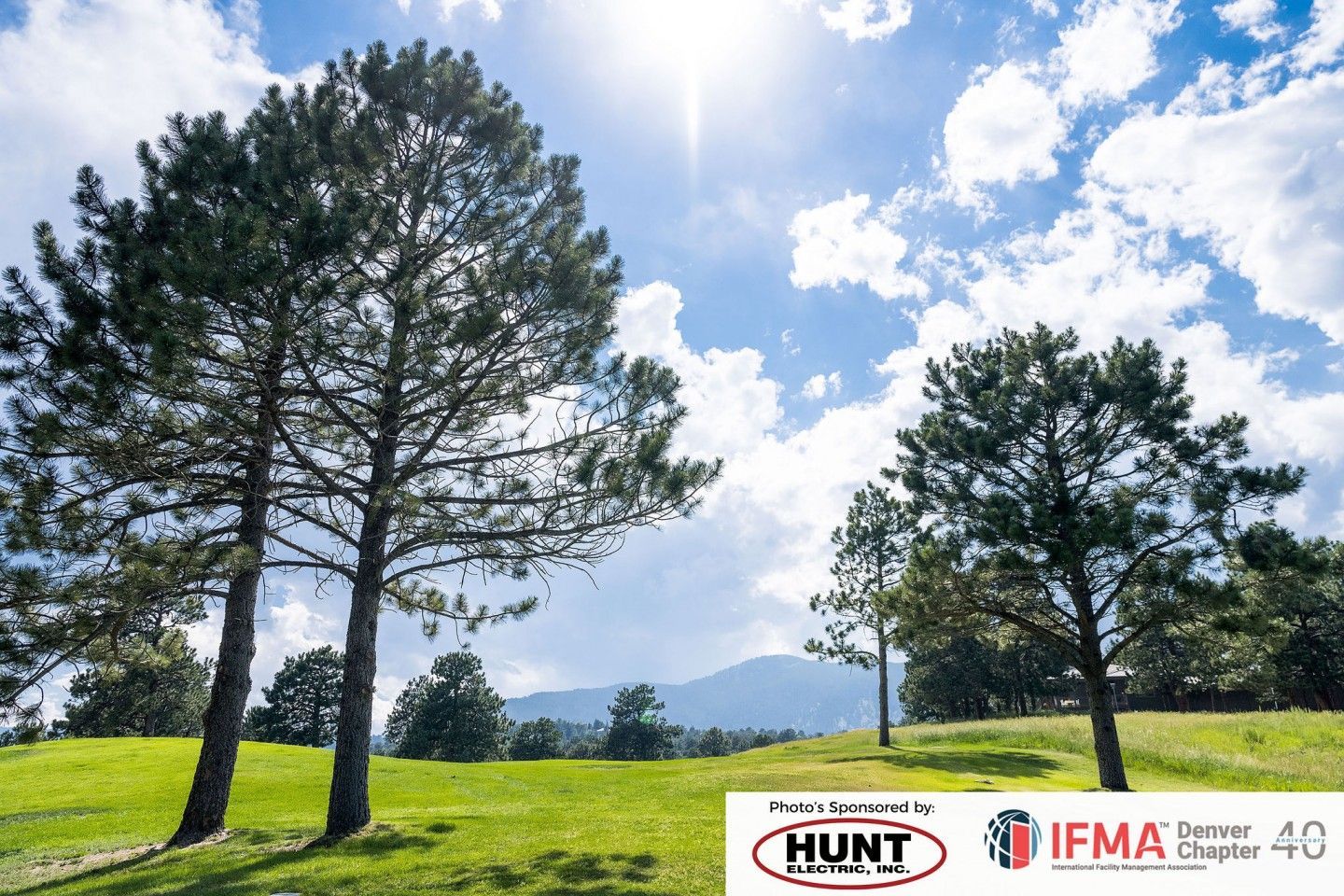 Lush green landscape with pine trees under a bright sun and partly cloudy sky.