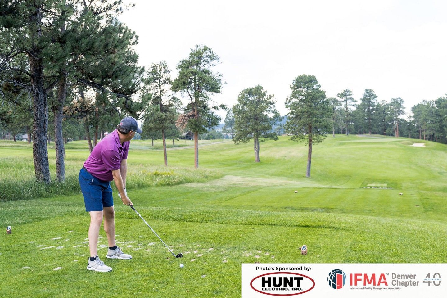 Man in purple shirt swinging golf club on a green course.