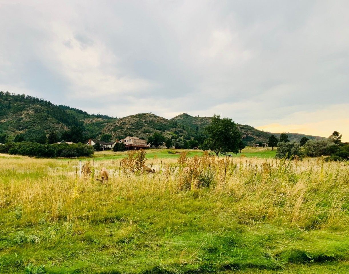 Grassy field with distant house and hills under cloudy sky.