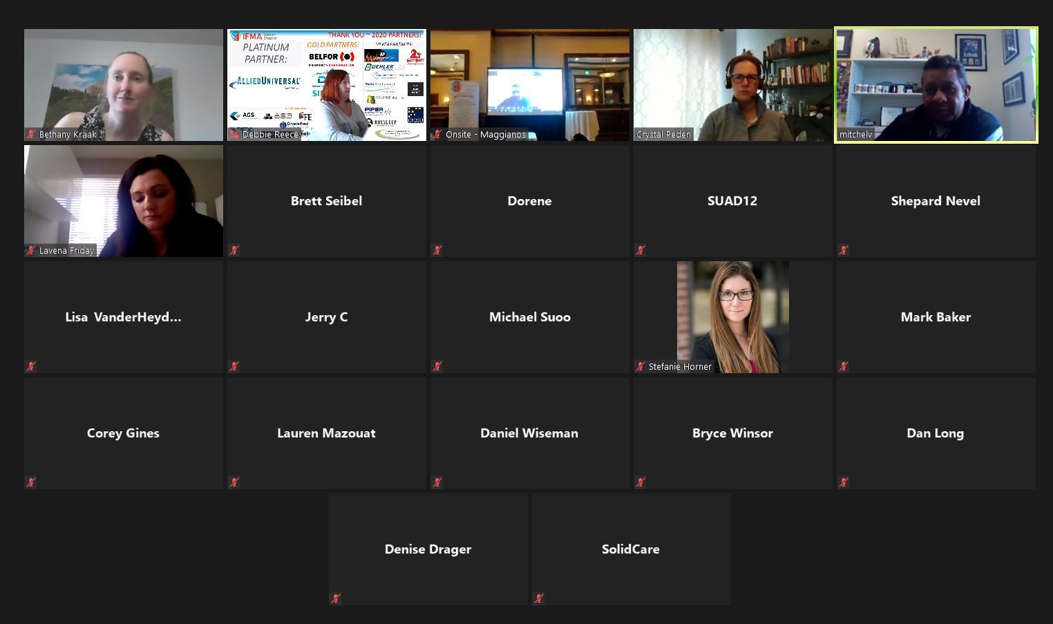 A virtual meeting with 19 participants, various settings. People are present in boxes, with some actively speaking.