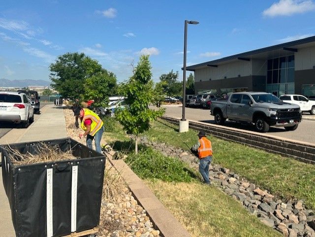 People in vests tending a landscaped area with a black container, near a building and parked vehicles on a sunny day.