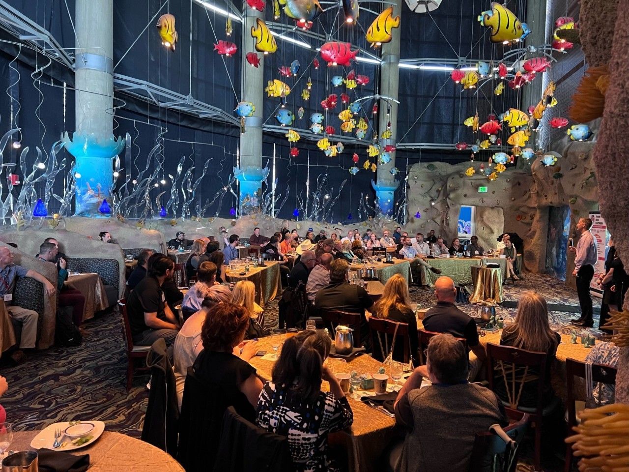 People seated at tables in a decorated room with hanging fish decorations.
