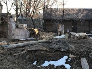 Logs and a weathered wooden building outdoors; patches of snow on the ground.
