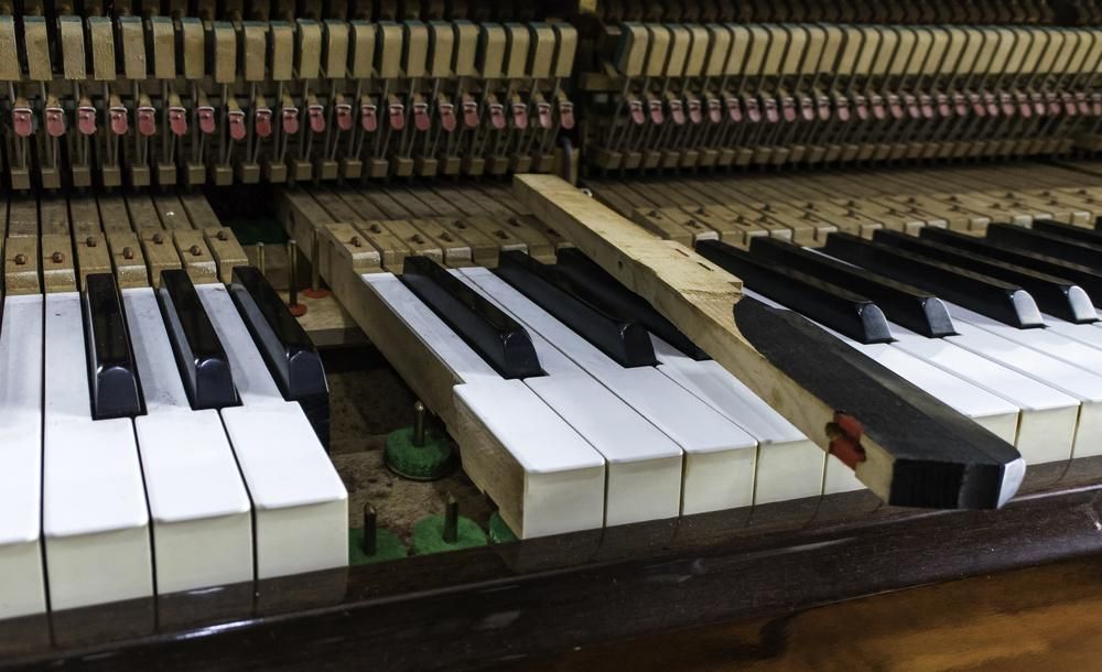 A Close up Of the Inside of A Piano Keyboard — David Simpson Pty Ltd in Innisfail, QLD