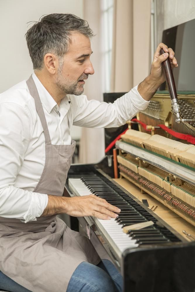 A Person Is Holding a Small Piano on A String — David Simpson Pty Ltd in Redlynch, QLD