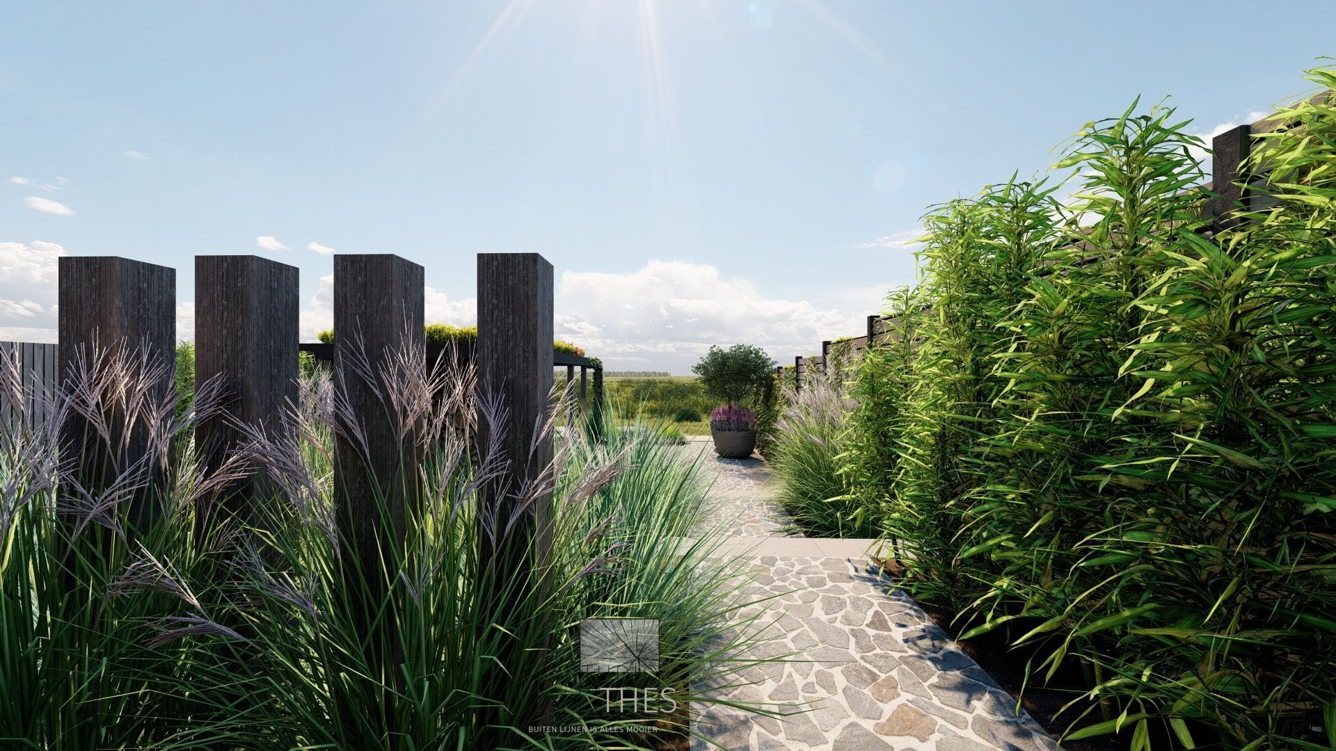 Een pad omgeven door hoog gras en bomen in een tuin.
