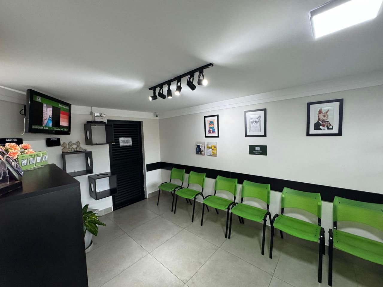 Hospital Veterinário Pet Planet | 24 Horas