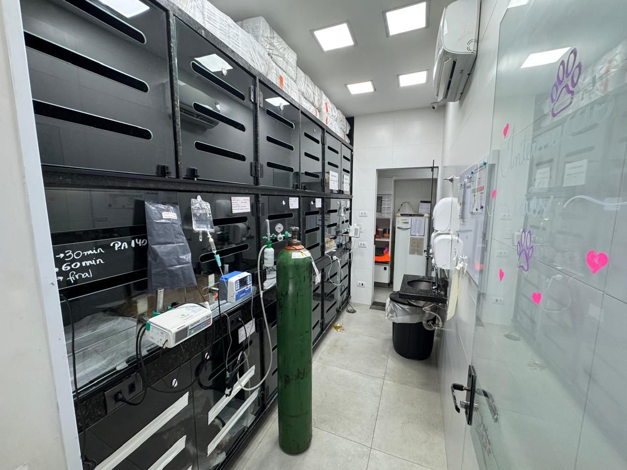 Hospital Veterinário Pet Planet | 24 Horas