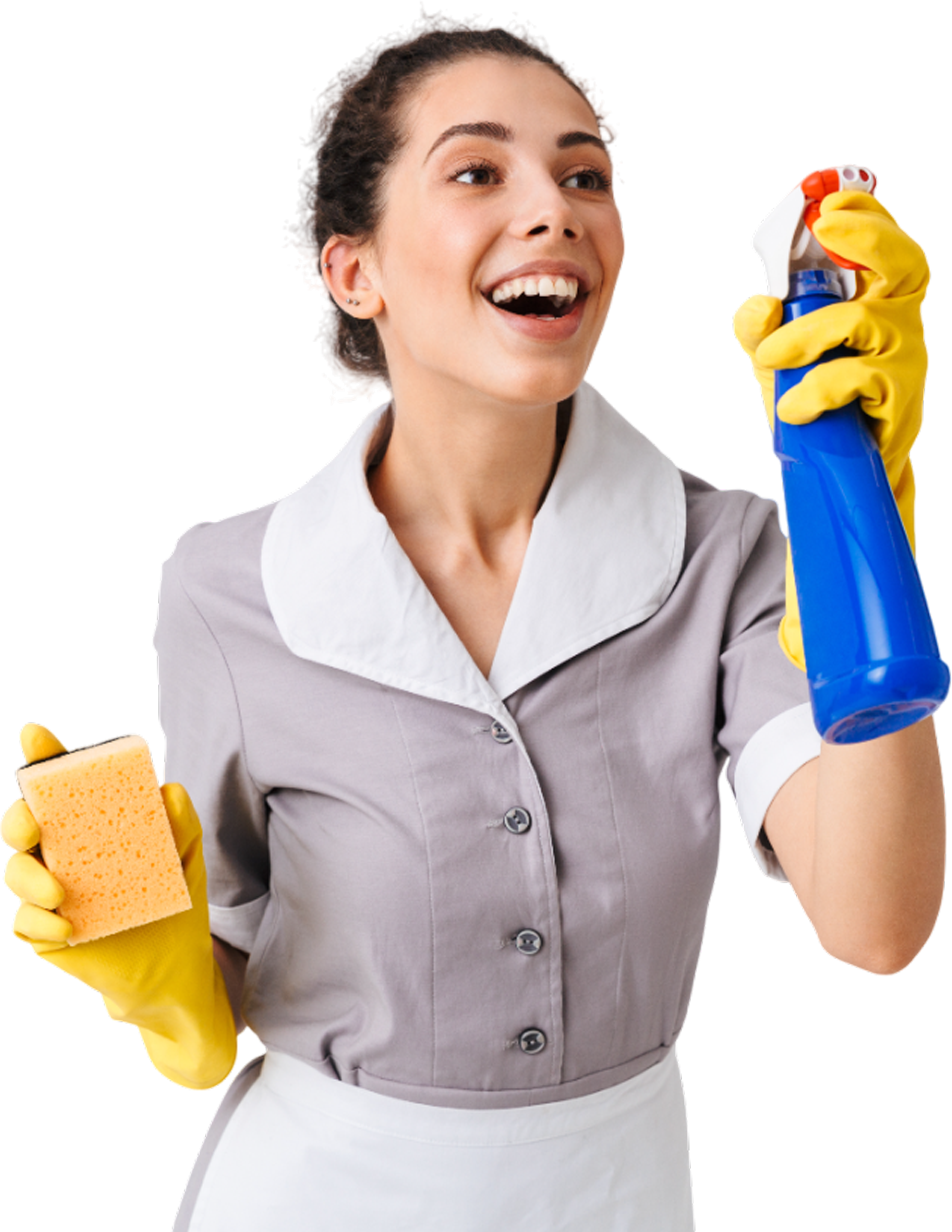 Maid holing a cleaning supplies