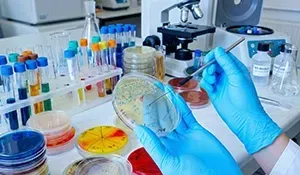 A scientist in blue gloves holds a petri dish containing bacterial colonies in a laboratory setting.