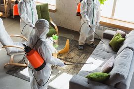 Three people in white protective suits spray disinfectant on a grey sofa and interior furniture.