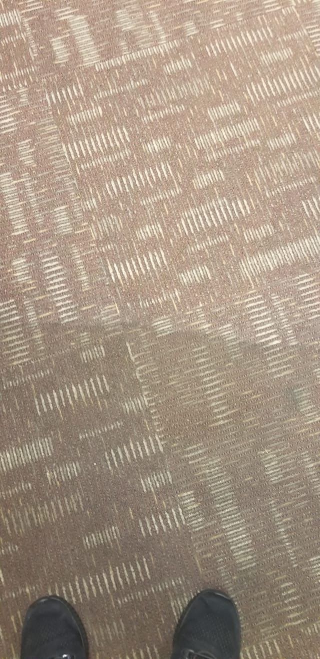 Room Carpet Before Cleaning — Newark, OH — Ace Carpet Care