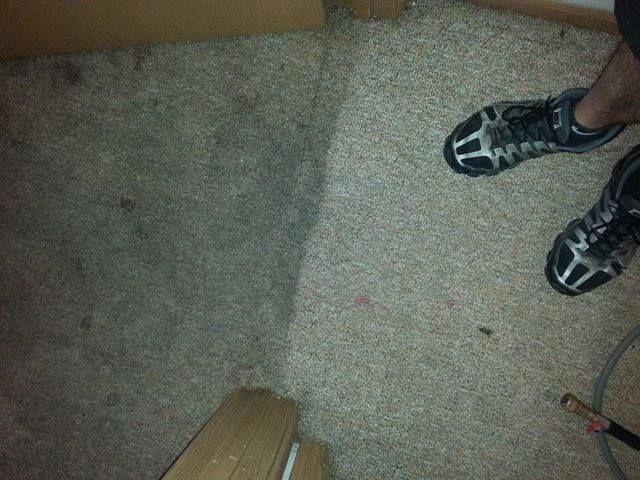Dirt and Stain Before Carpet Cleaning — Newark, OH — Ace Carpet Care
