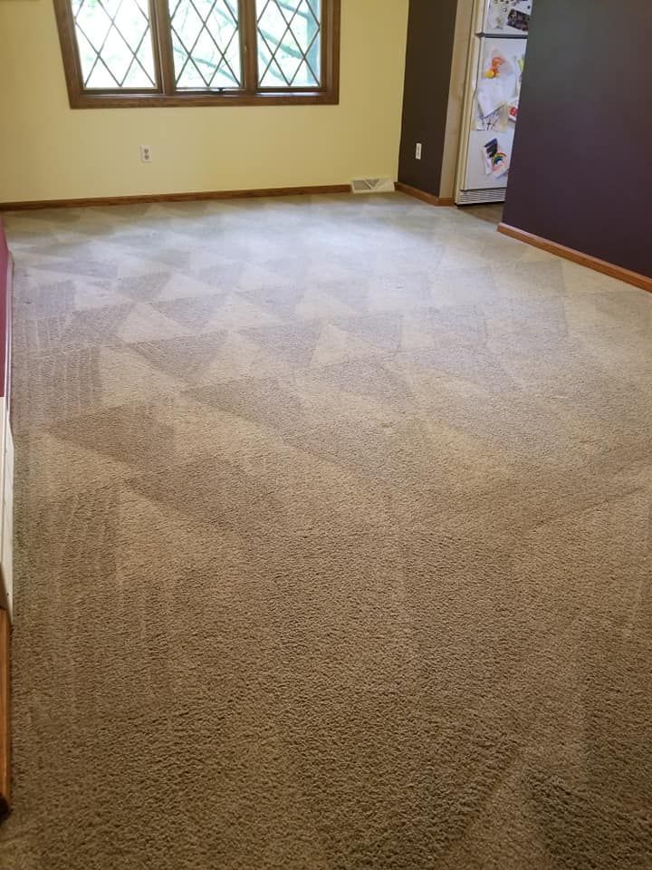 Room Carpet During Cleaning — Newark, OH — Ace Carpet Care
