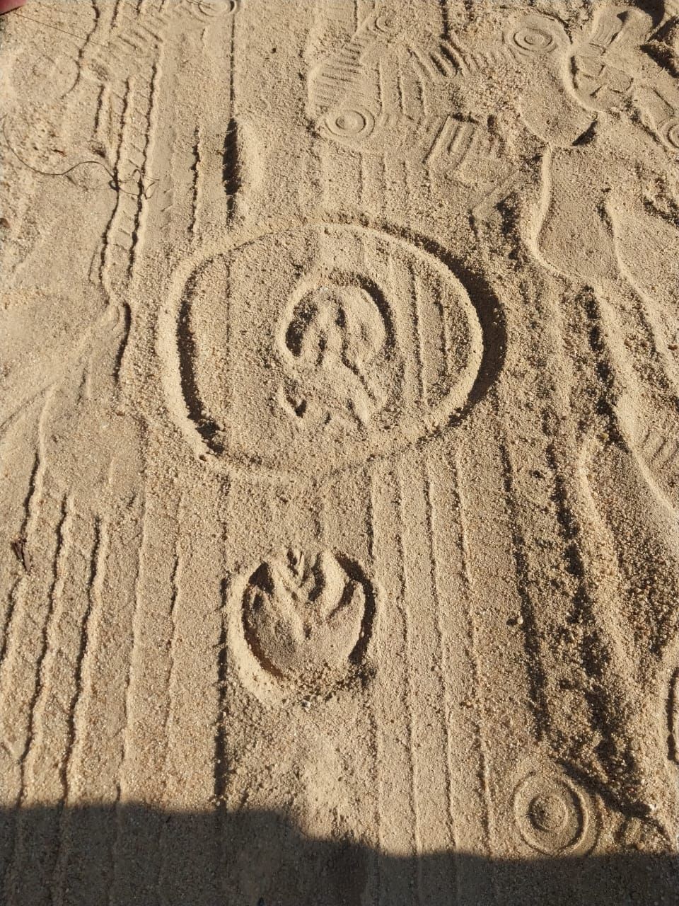 A pumpkin and a star wars symbol are drawn in the sand.