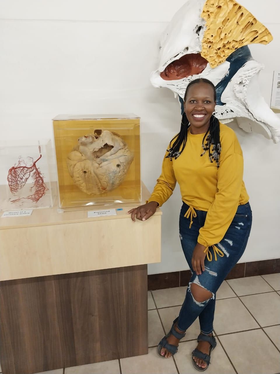 A woman in a yellow shirt is standing next to a display of a skeleton.