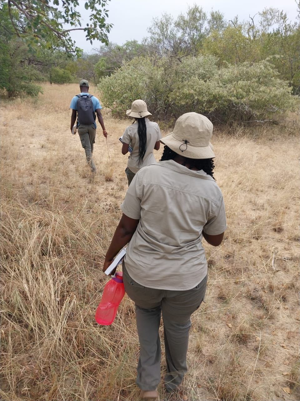 A group of people are walking through a dry grass field