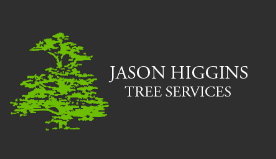 Jason Higgins Tree Services Ltd