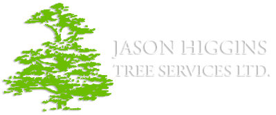 Jason Higgins Tree Services Ltd