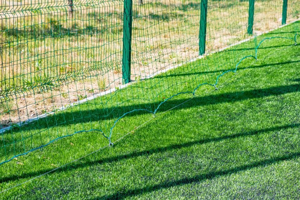 prato con rete verde