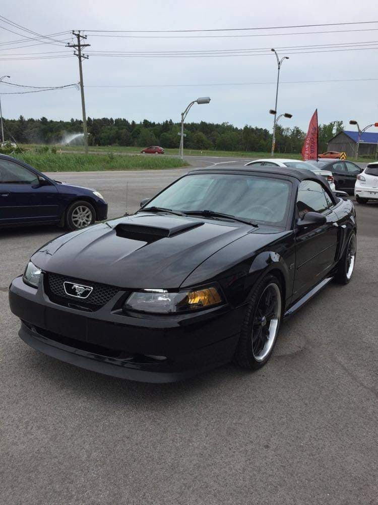 Une mustang décapotable noire est garée sur un parking.