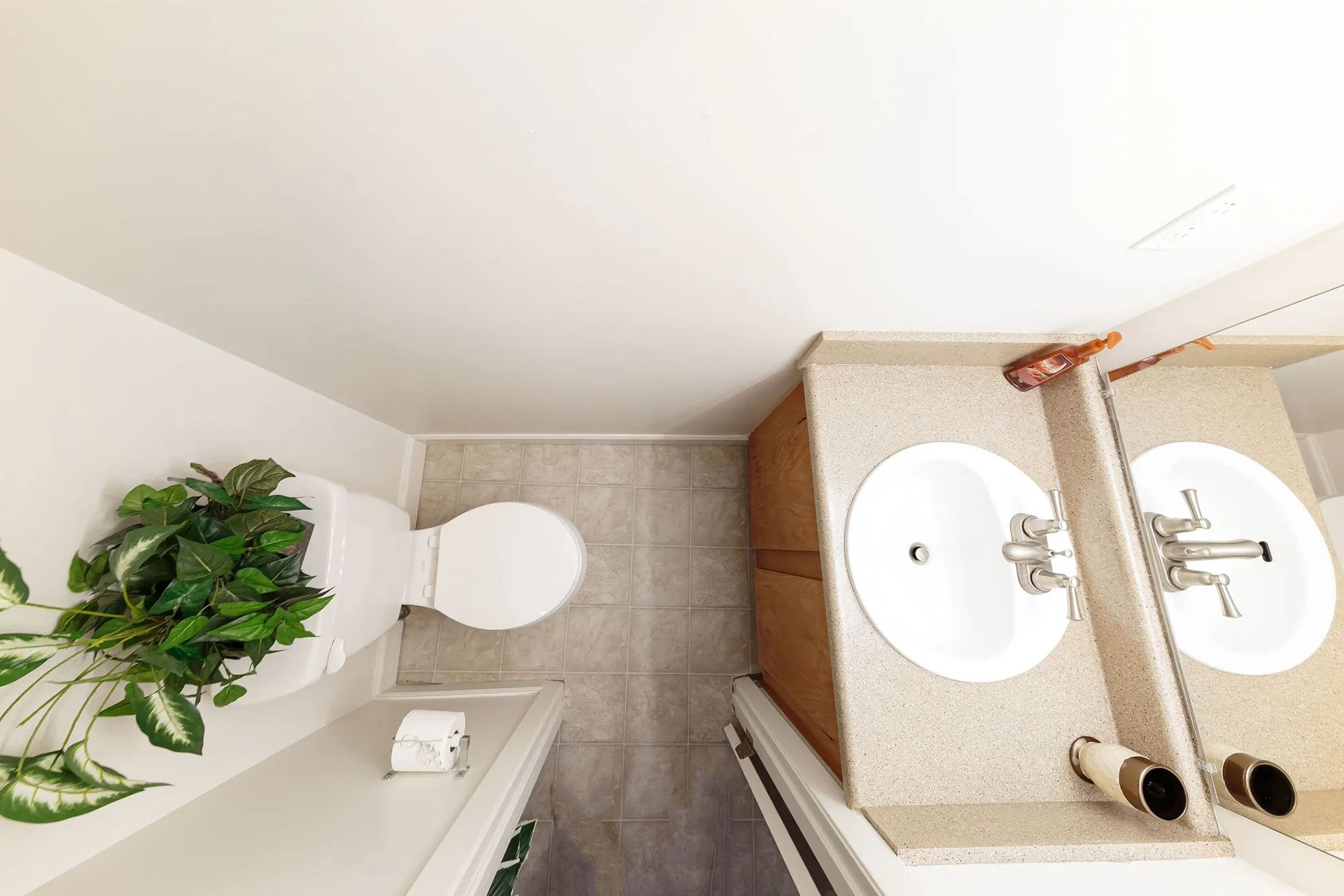 Overhead view of a small bathroom with a toilet, sink, and vanity. Green plant on the left.