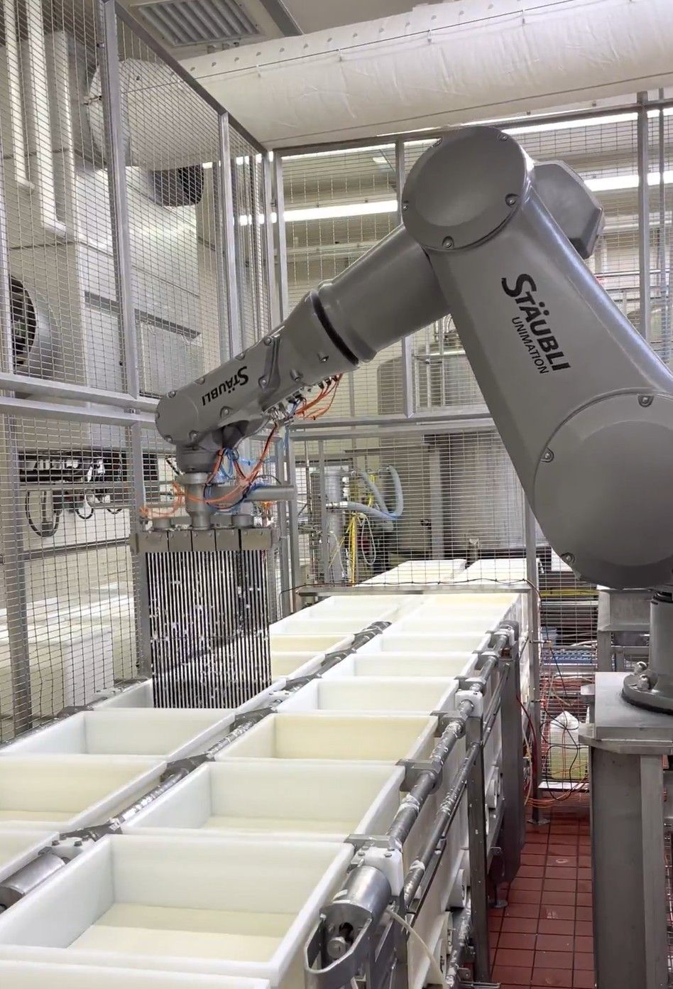Robot arm in a food processing plant placing blocks of cheese into white containers on a conveyor belt.