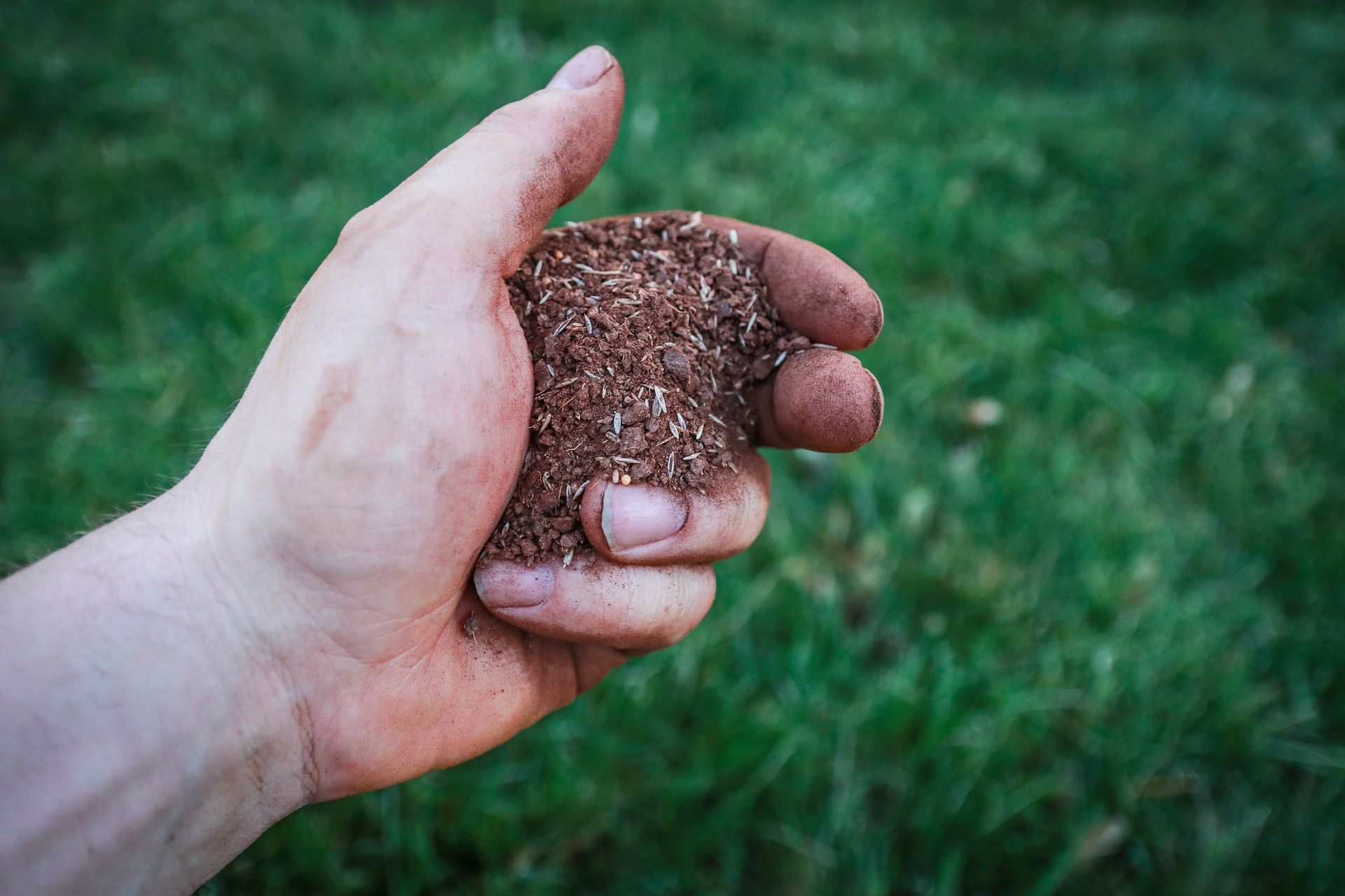 A person is holding a pile of dirt in their hand.