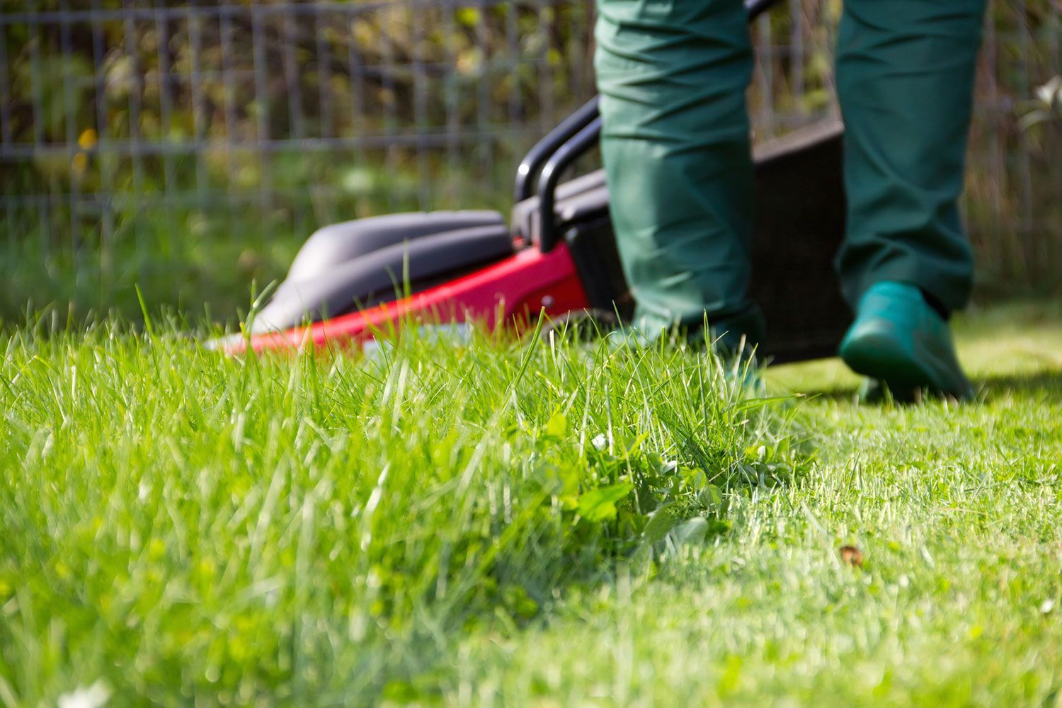 Lawn Maintenance Service — Aurora, IL — Great Greens Lawn Care