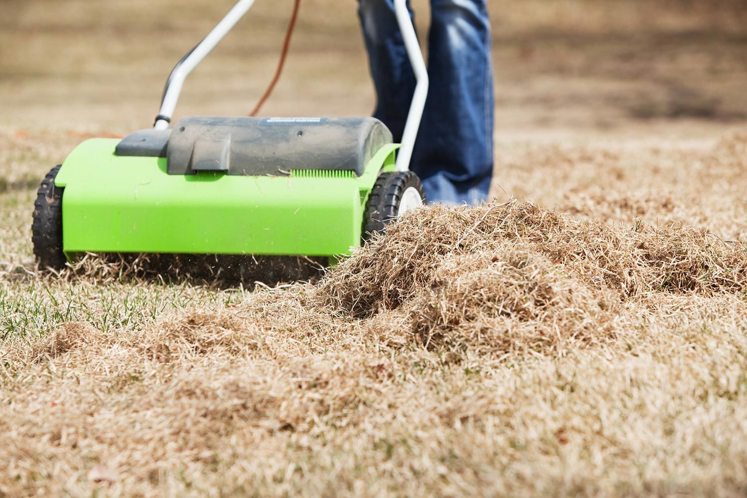 Dethatching Process — Aurora, IL — Great Greens Lawn Care