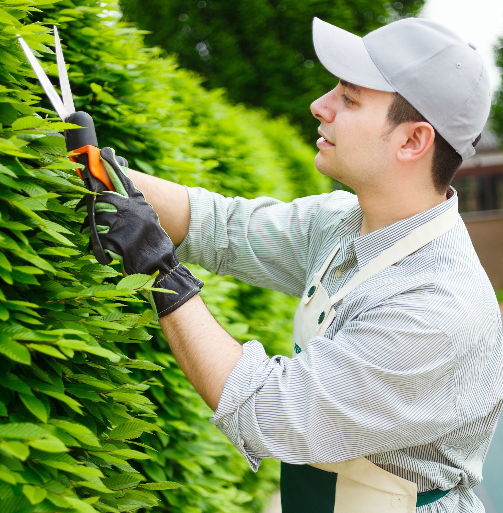 Dead Grass on Garden — Aurora, IL — Great Greens Lawn Care