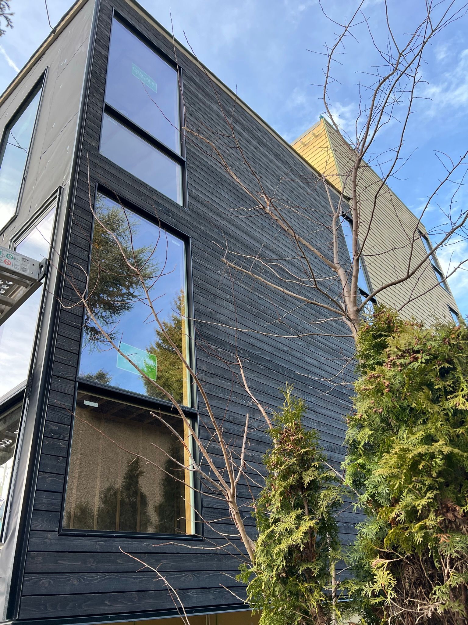 A building with a lot of windows and a tree in front of it.