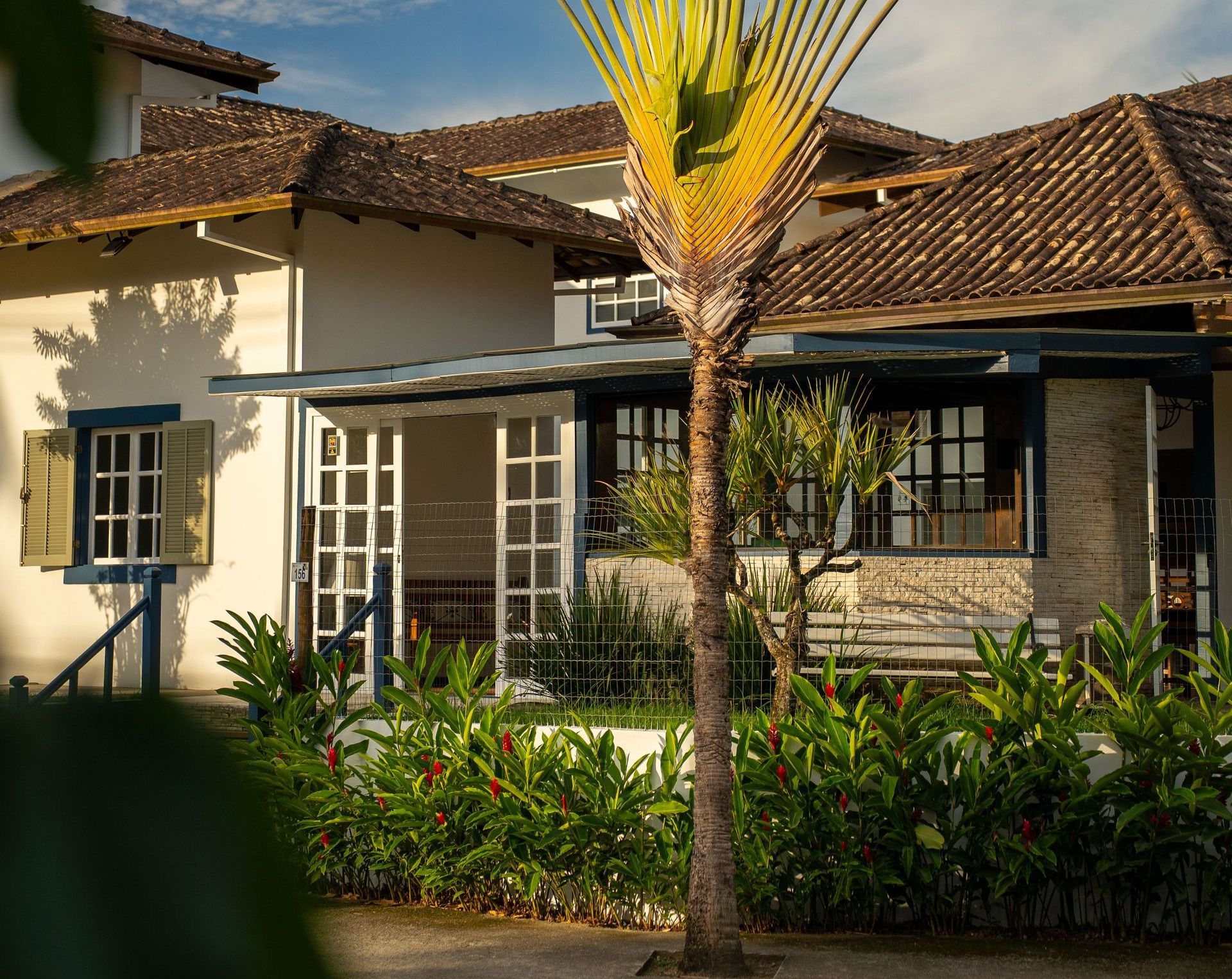Uma casa com uma palmeira na frente