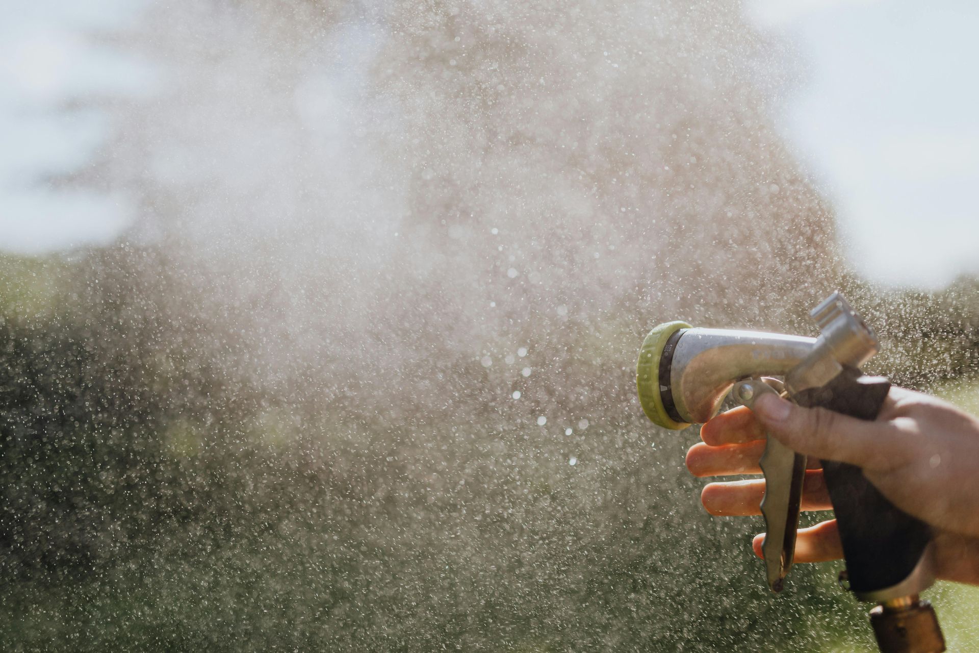 A person is spraying water from a hose in a garden.