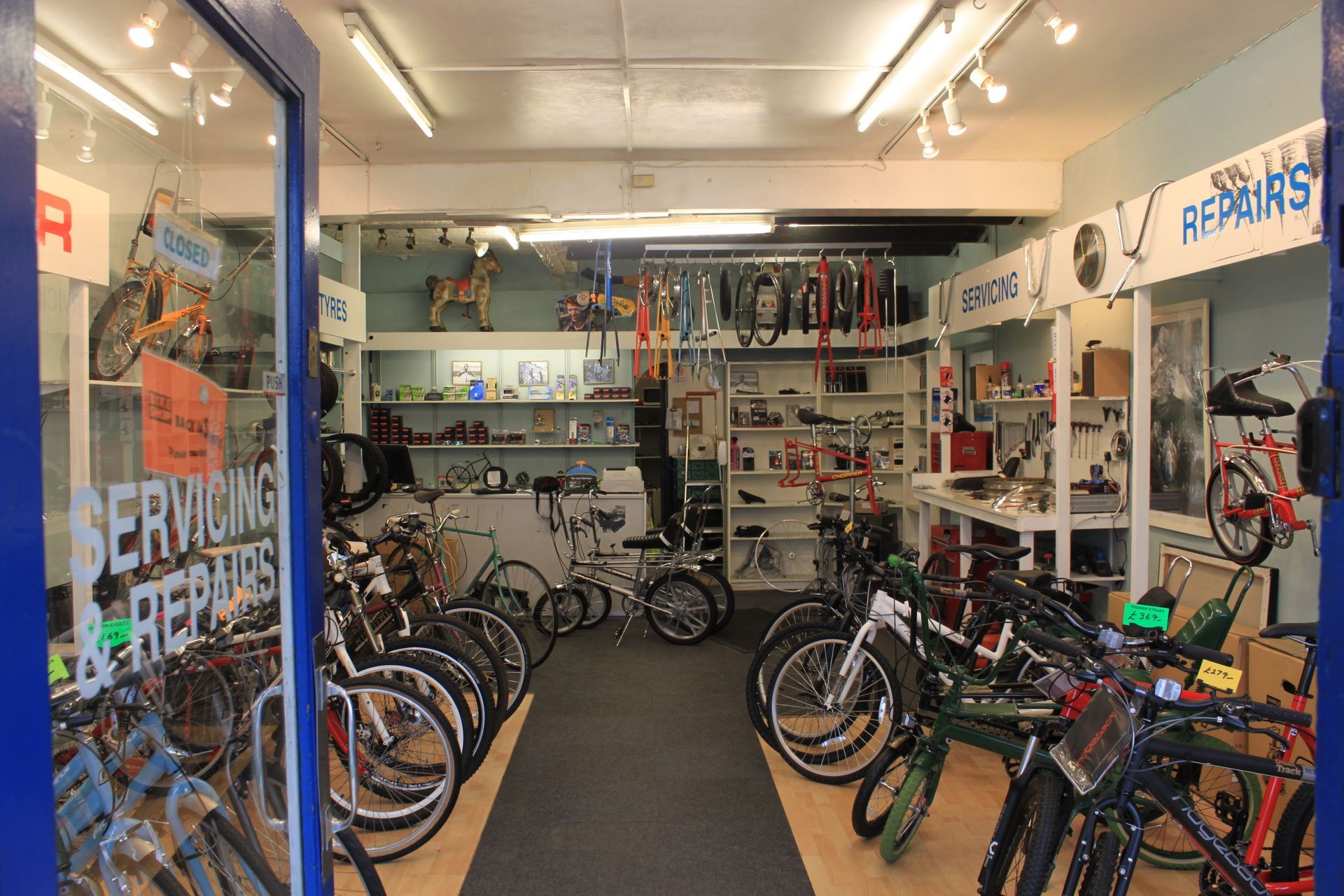 bicycles for sale at youngs cycles