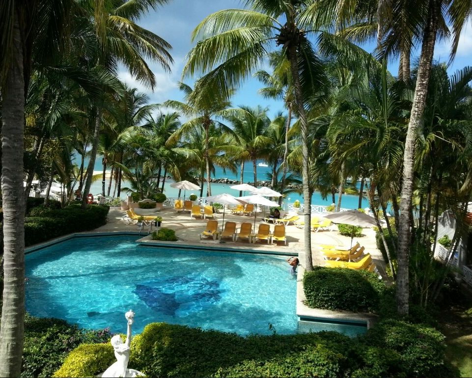 Courtyard with green lawn, lounge chairs, palm trees, and a walkway beside a building
