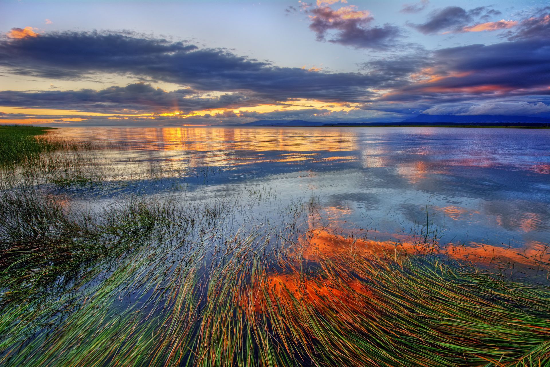 Sunset over calm water, reflecting colorful sky and reeds.