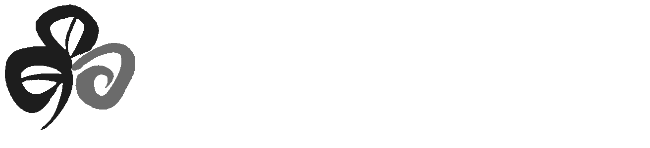 Tourism Ireland
