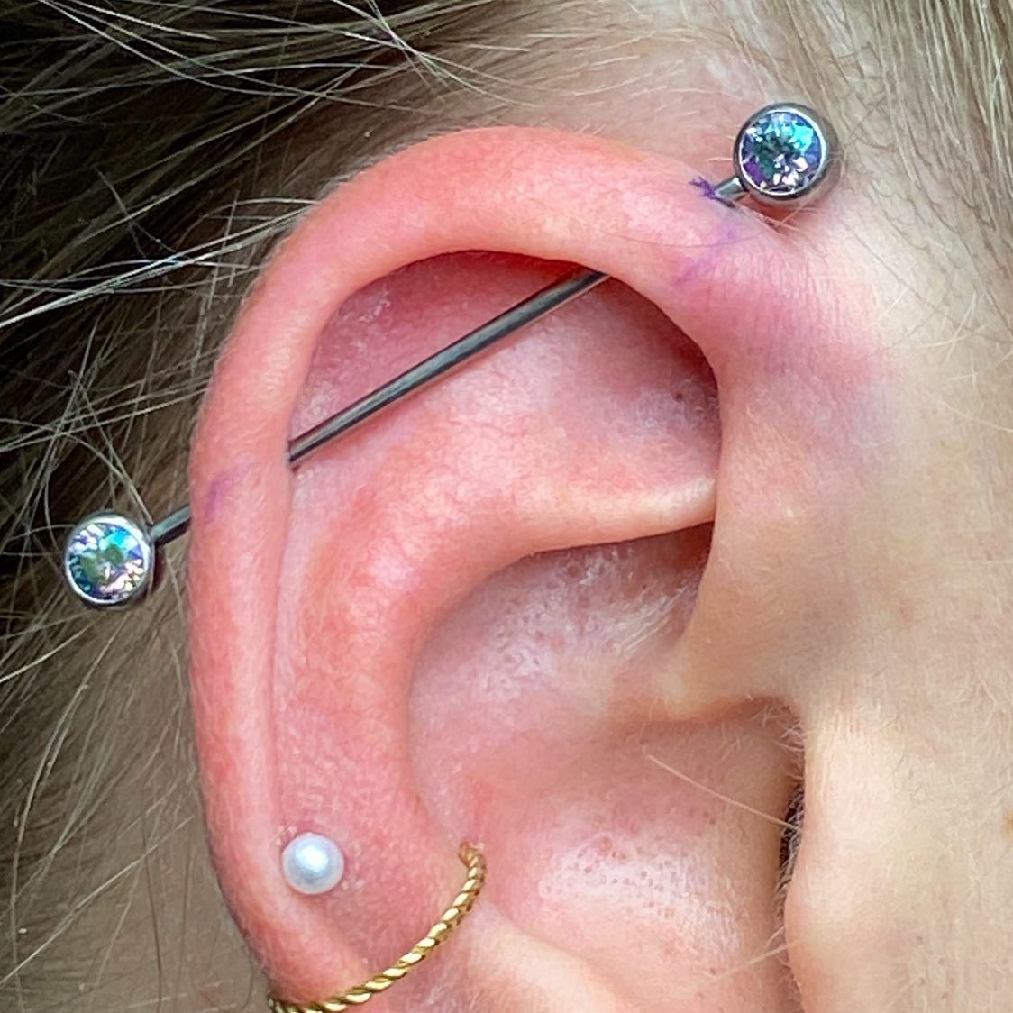 Mel’s Piercing Three – Gainesville, FL – Bodytech Tattooing & Piercing