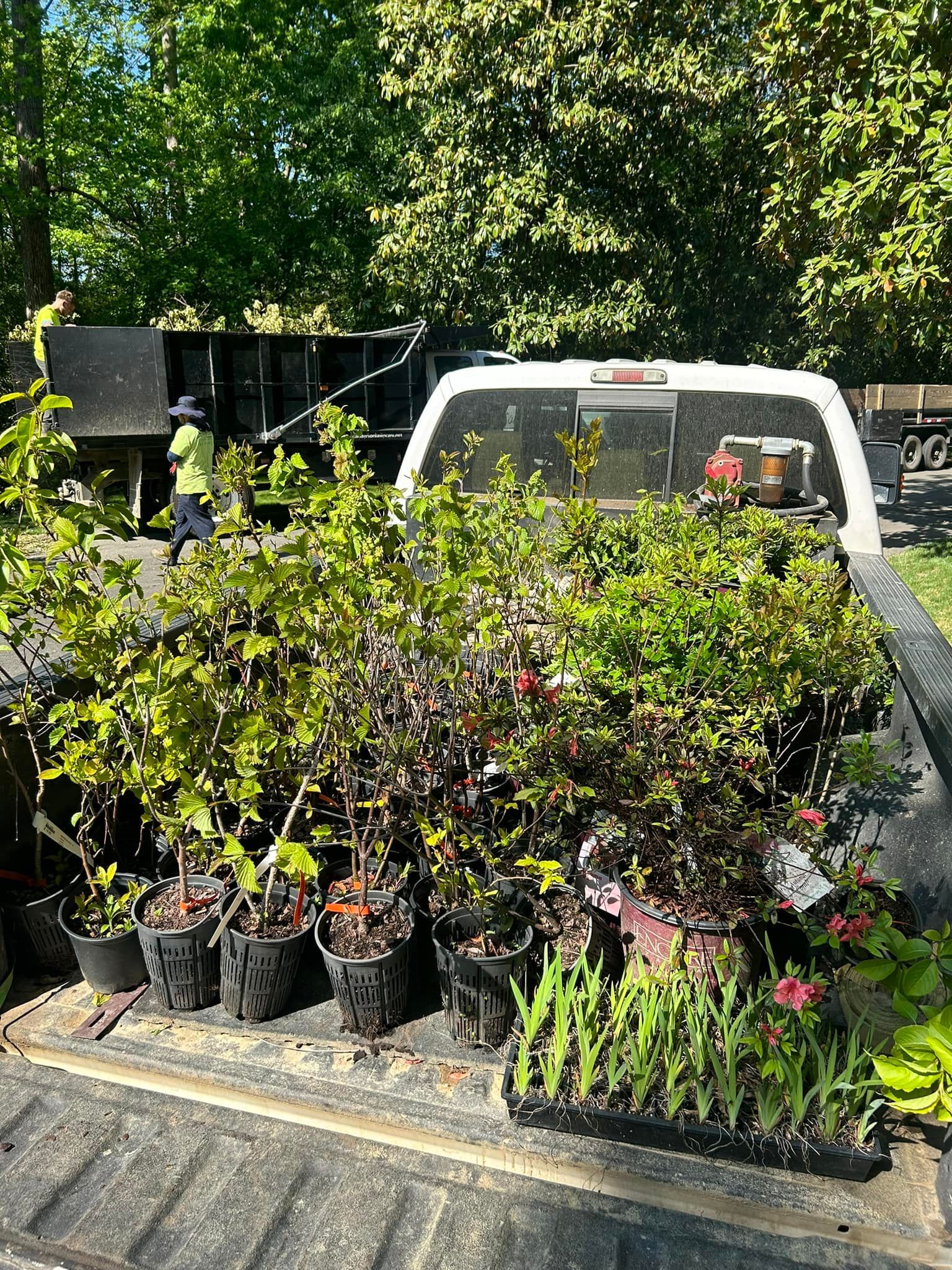 A white truck is filled with lots of potted plants.