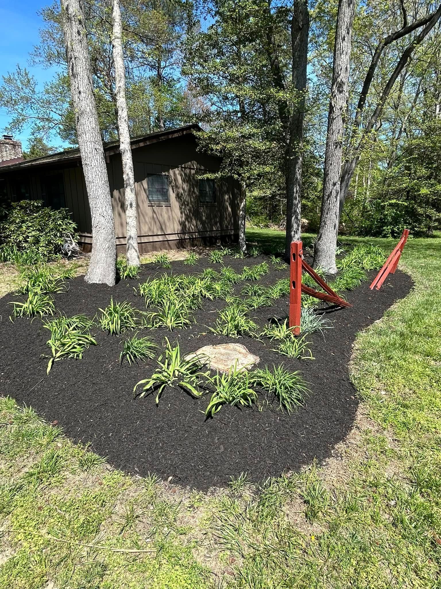 A house is sitting in the middle of a lush green field surrounded by trees and mulch.