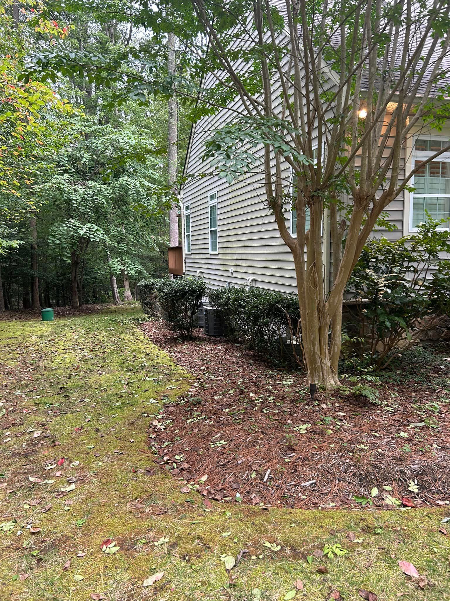 A house with a lot of leaves on the ground in front of it.