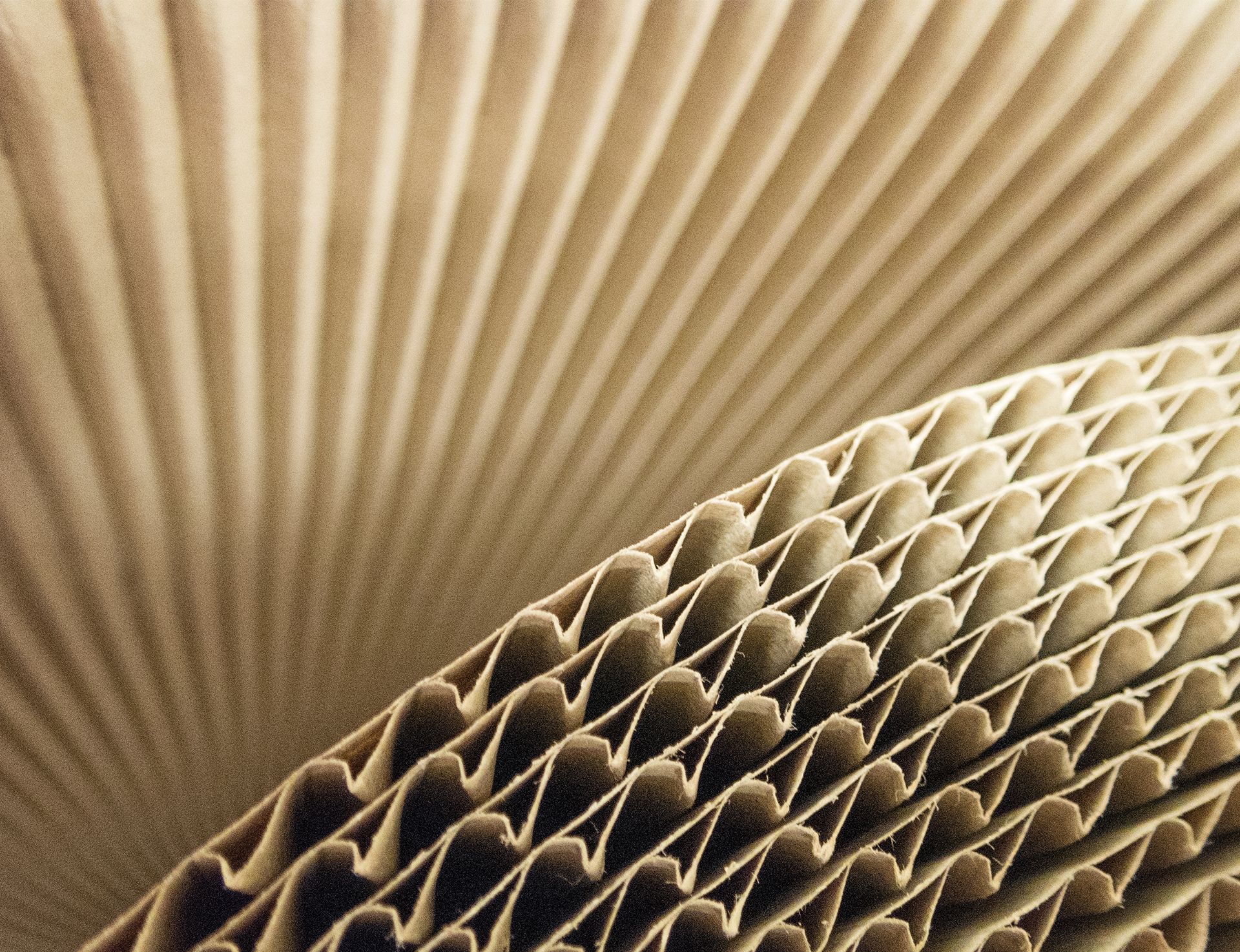 COLLOIDS DE MÉXICO SA DE CV