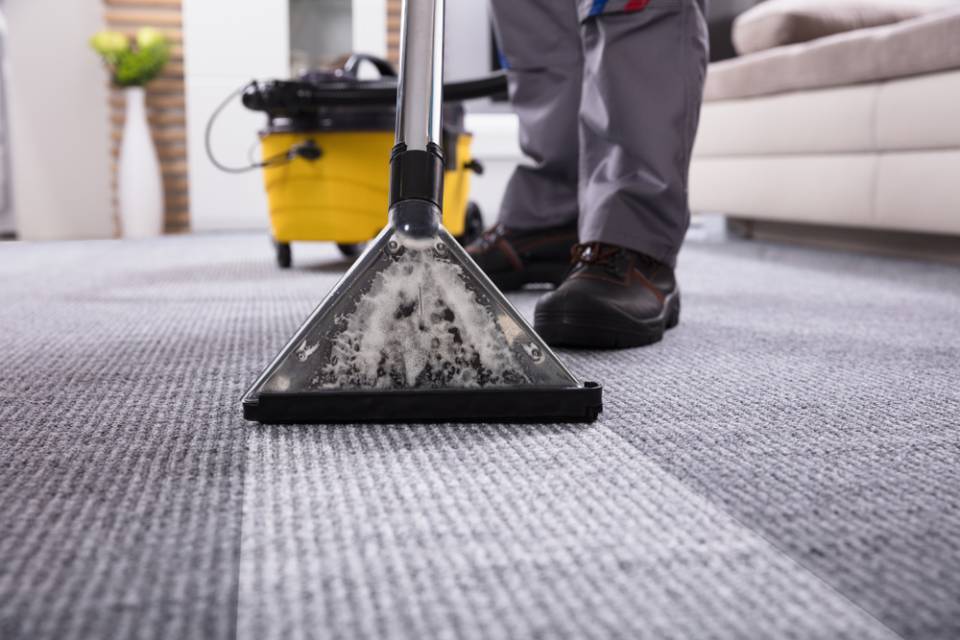 carpet being vacuumed