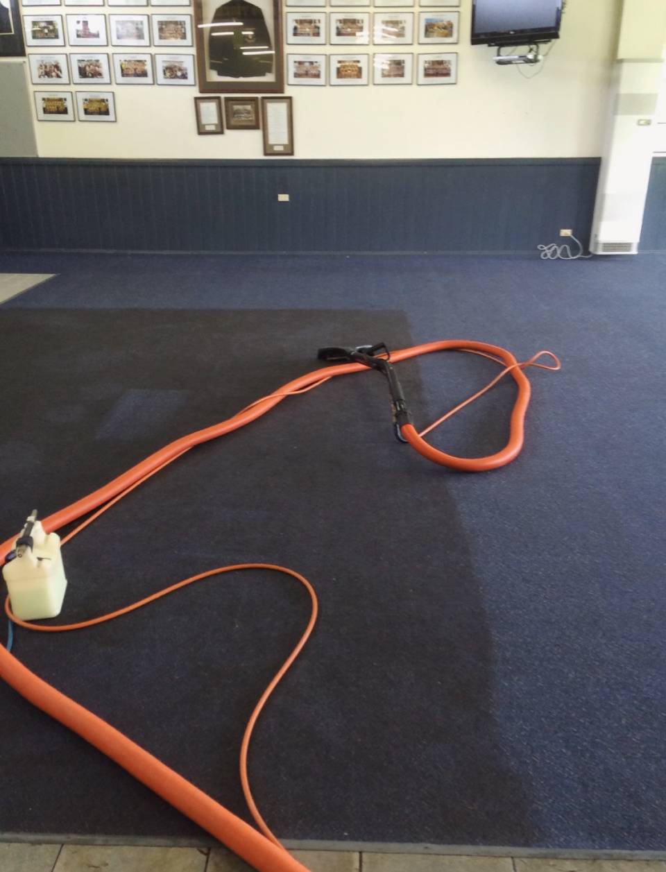 carpet cleaning