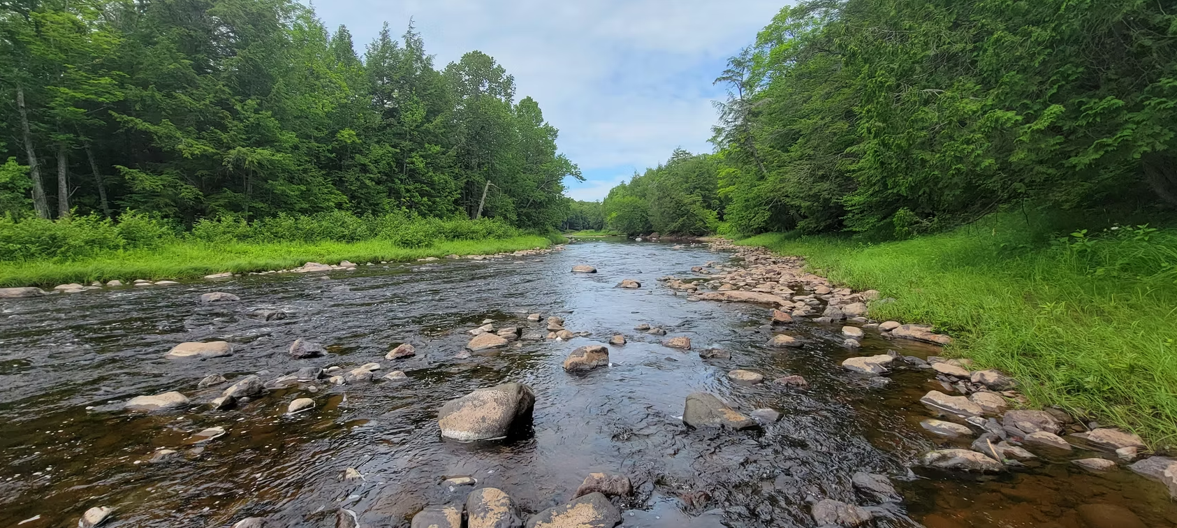 Rocky river in a green forest under a partly cloudy sky