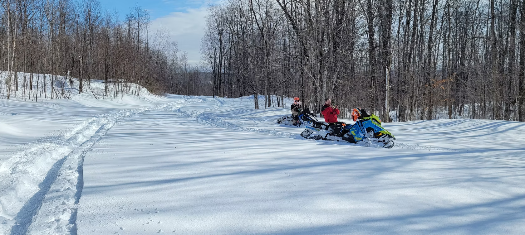 Snow tubing on a snowy hill beside leafless trees under a bright blue sky
