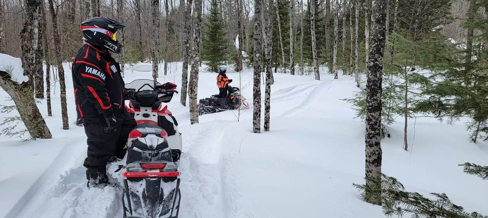 Snowmobiles parked on a snowy forest trail, with riders standing nearby among bare trees.